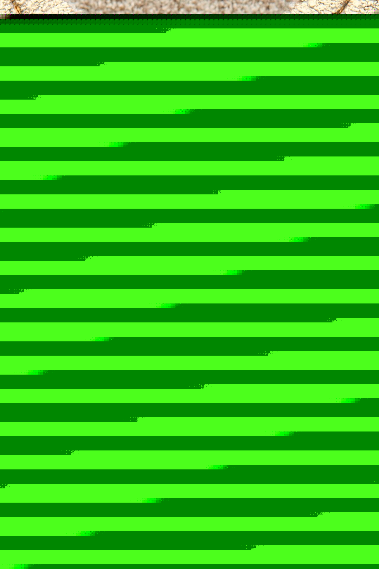 Brook Gold Triko Hırka