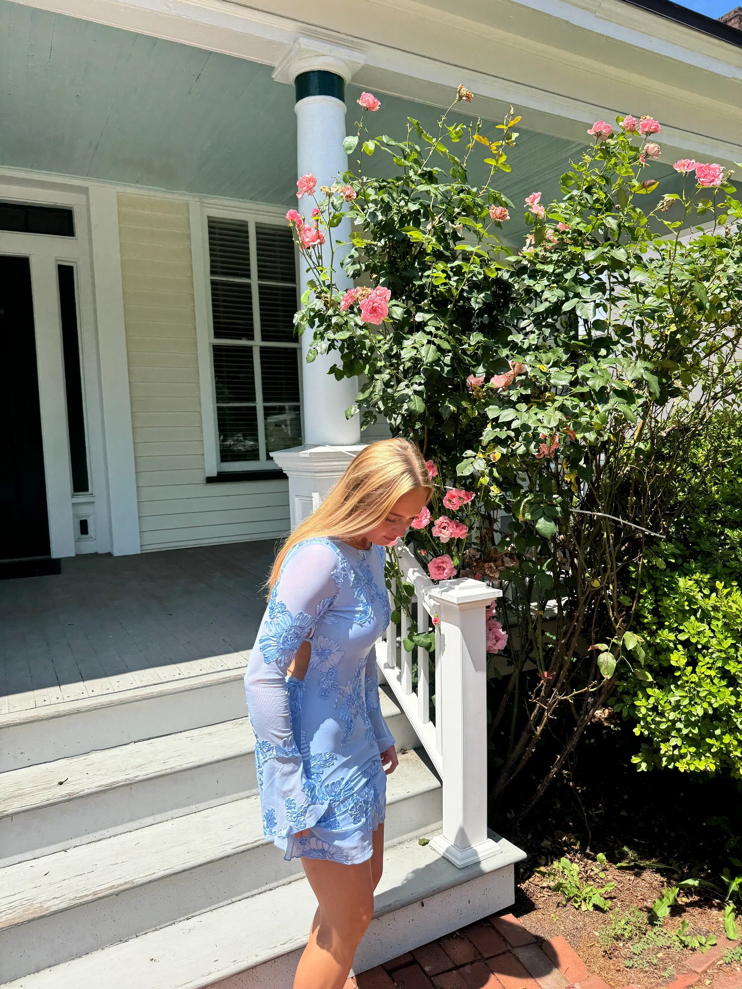 Eleka Tül Mini Elbise