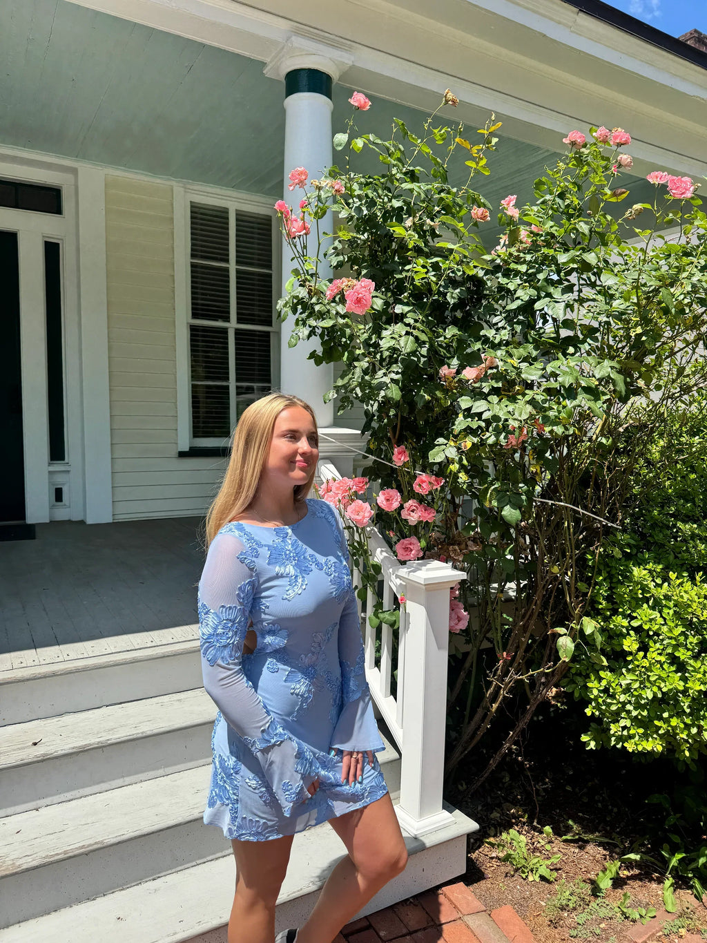 Eleka Tül Mini Elbise