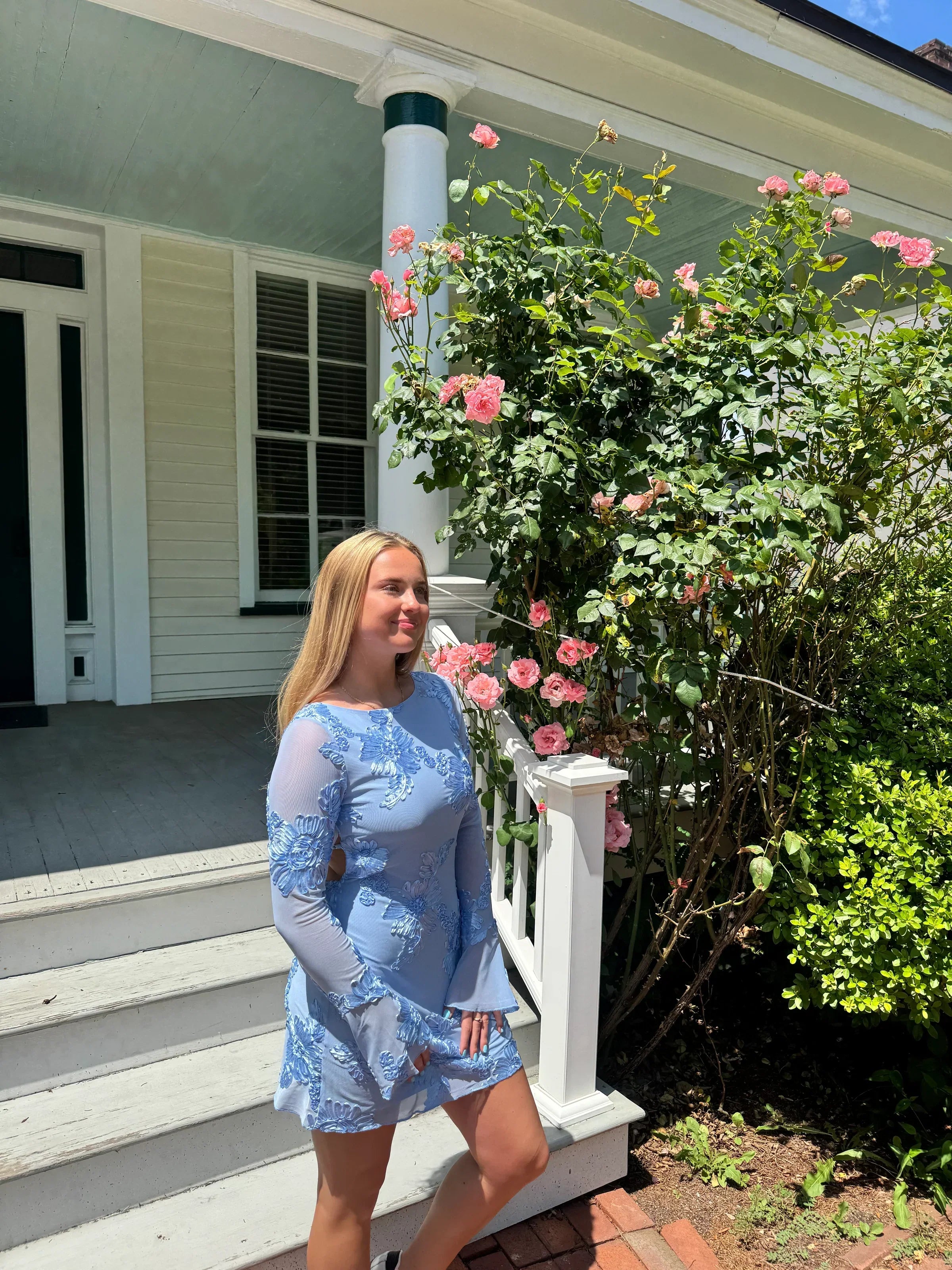 Eleka Tül Mini Elbise