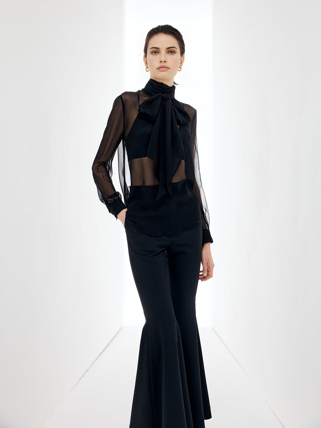 Şeffaf Fiyonk Şifon Bluz