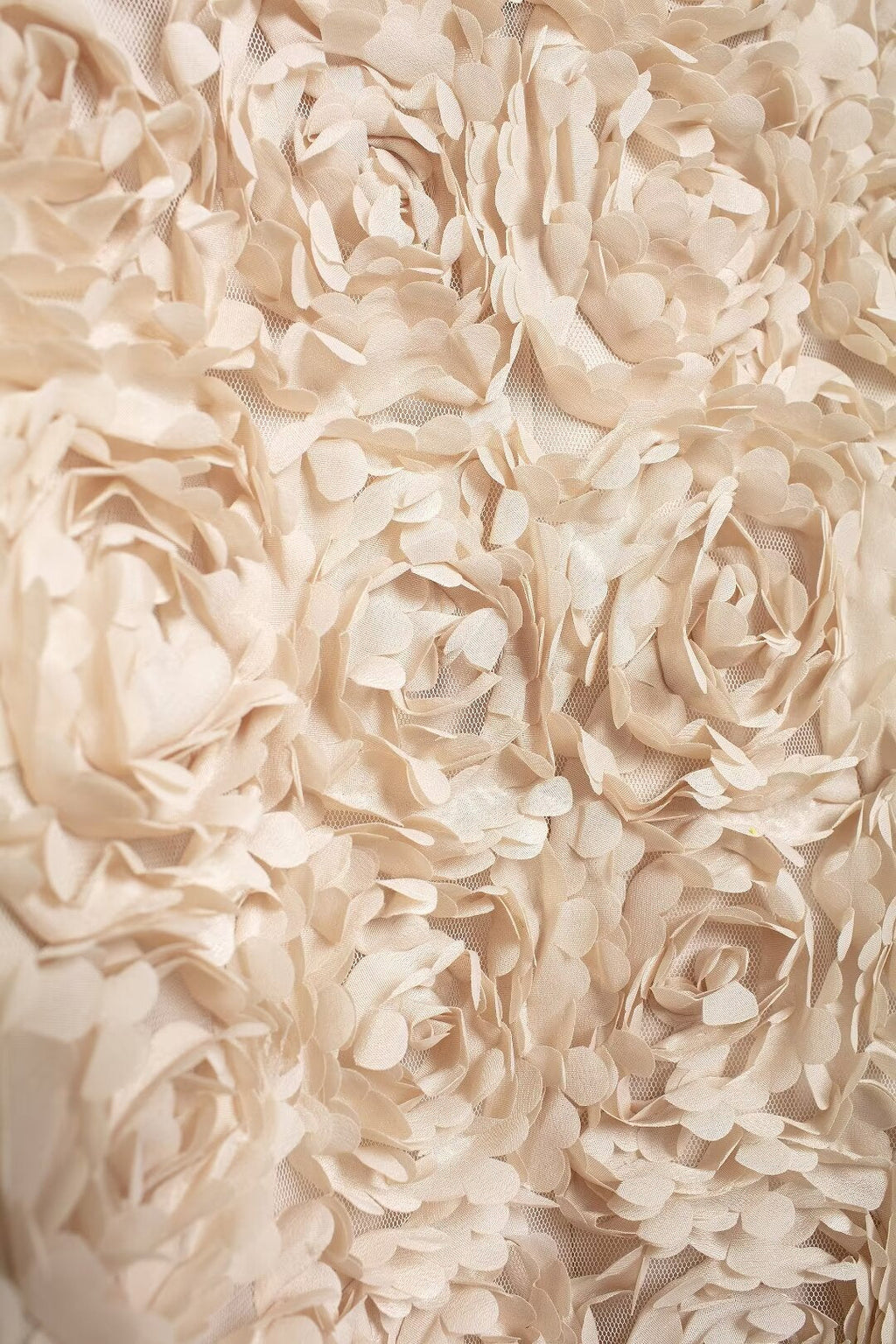 Alice Çiçek Aplikeli Kısa Ceket