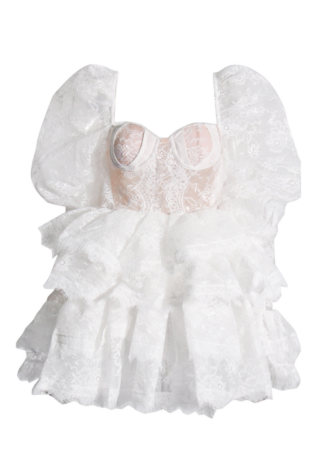 Bonnie İşlemeli Dantel Puf Kol Mini Elbise