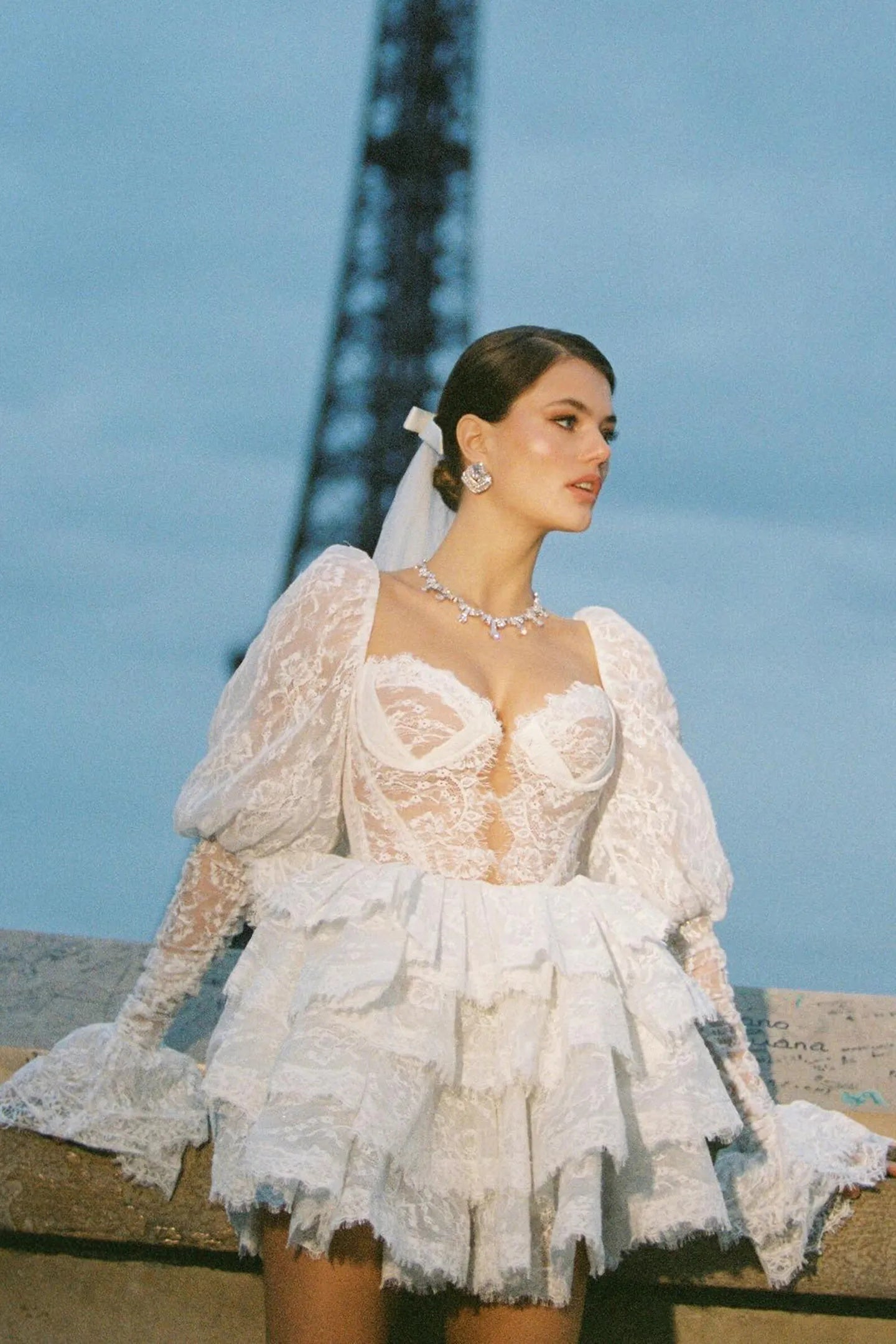 Bonnie İşlemeli Dantel Puf Kol Mini Elbise