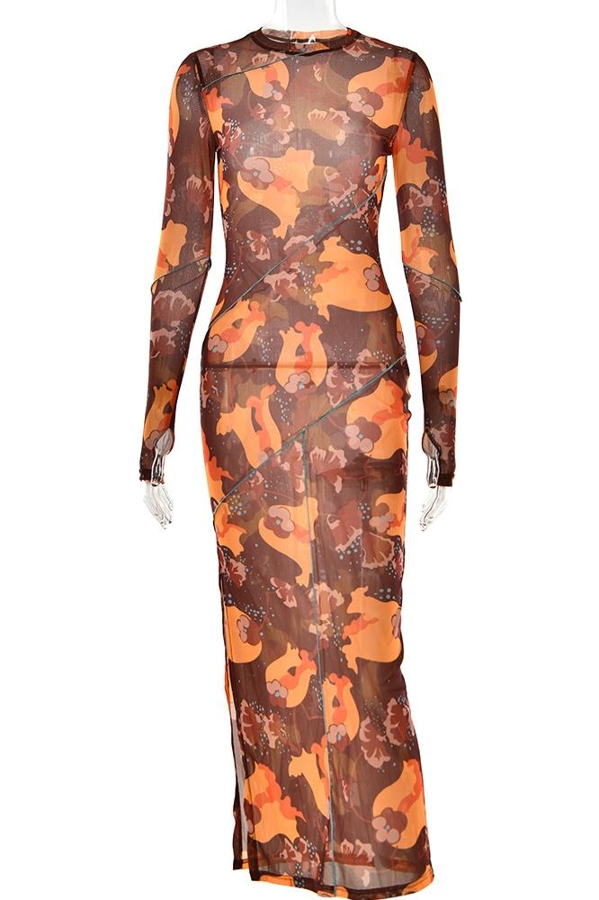 Breeda Baskılı Transparan Maxi File Elbise