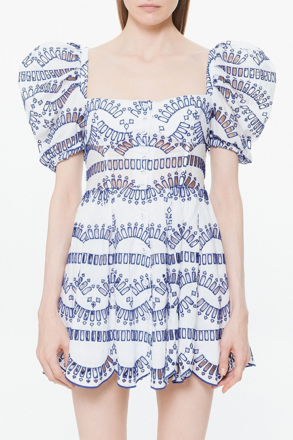 Janice İşlemeli Puf Kol Mini Elbise